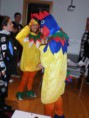 /album/fotogaleria/pollos-jpg/